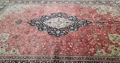 carspet464