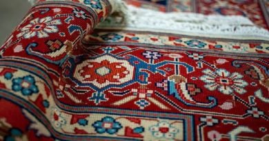 carpet646
