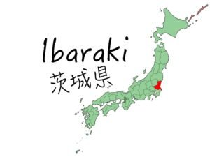 ペルシャ絨毯買取 buy ibaraki carpet persian rugs
