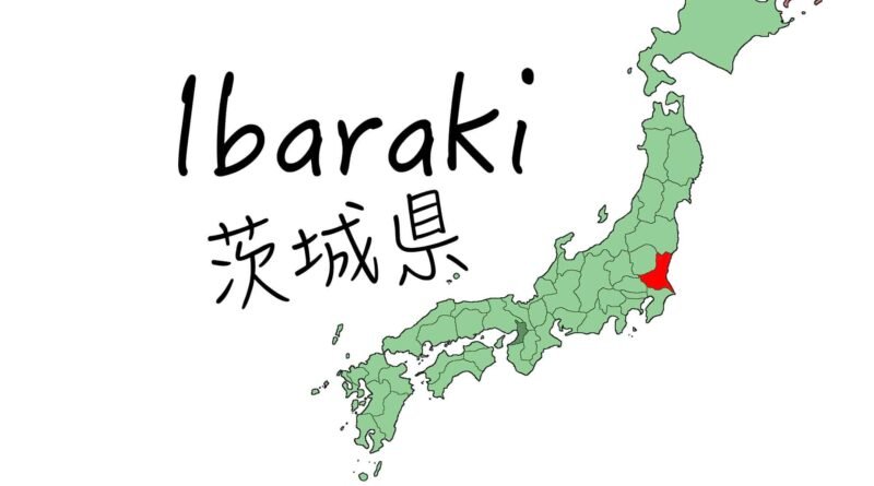 ペルシャ絨毯買取 buy ibaraki carpet persian rugs
