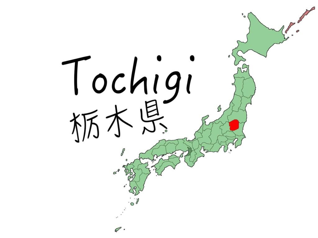 ペルシャ絨毯買取 tocjigi persian rugs