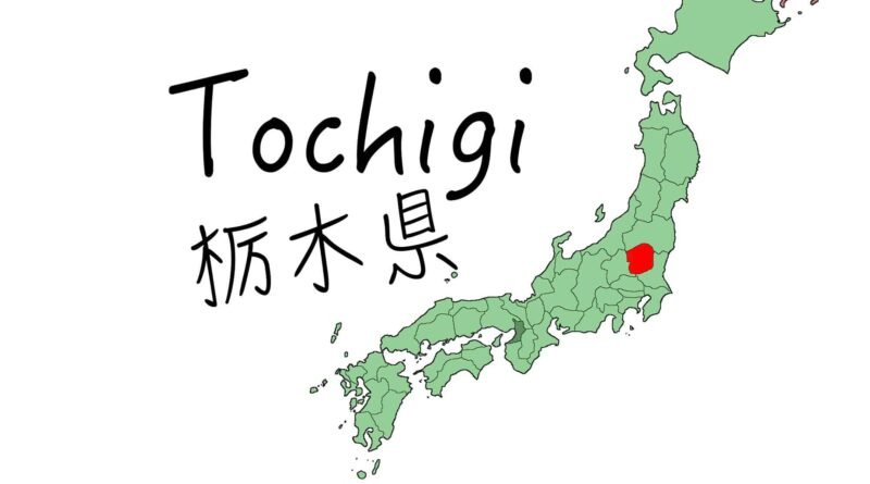 ペルシャ絨毯買取 tocjigi persian rugs